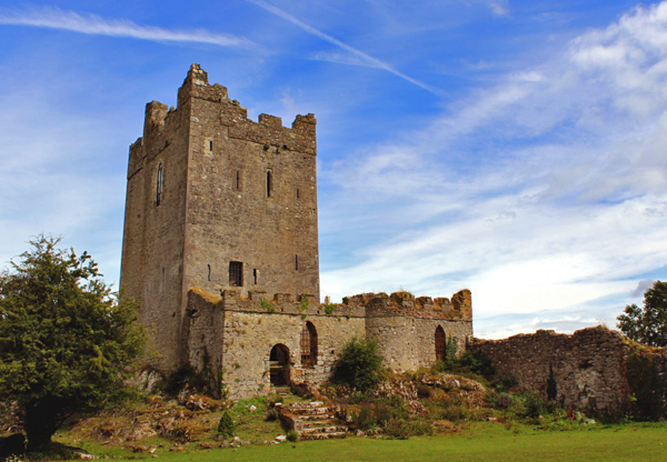 Clonony Castle, County Offaly