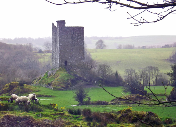 Carrigaphooca Castle, County Cork